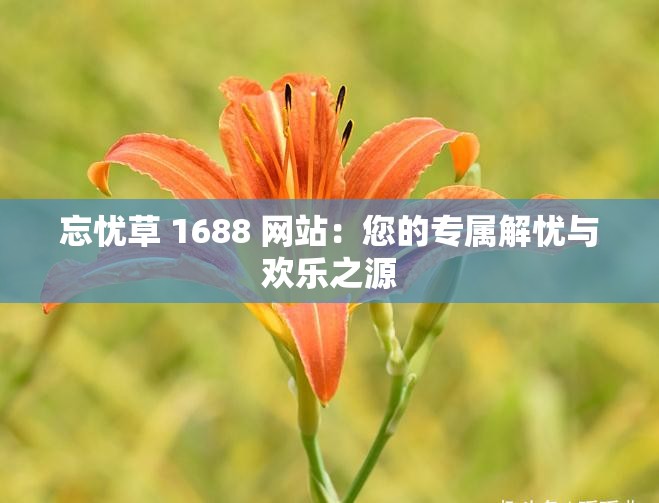 忘忧草 1688 网站：您的专属解忧与欢乐之源