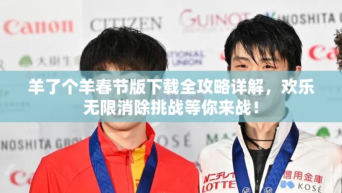 羊了个羊春节版下载全攻略详解，欢乐无限消除挑战等你来战！