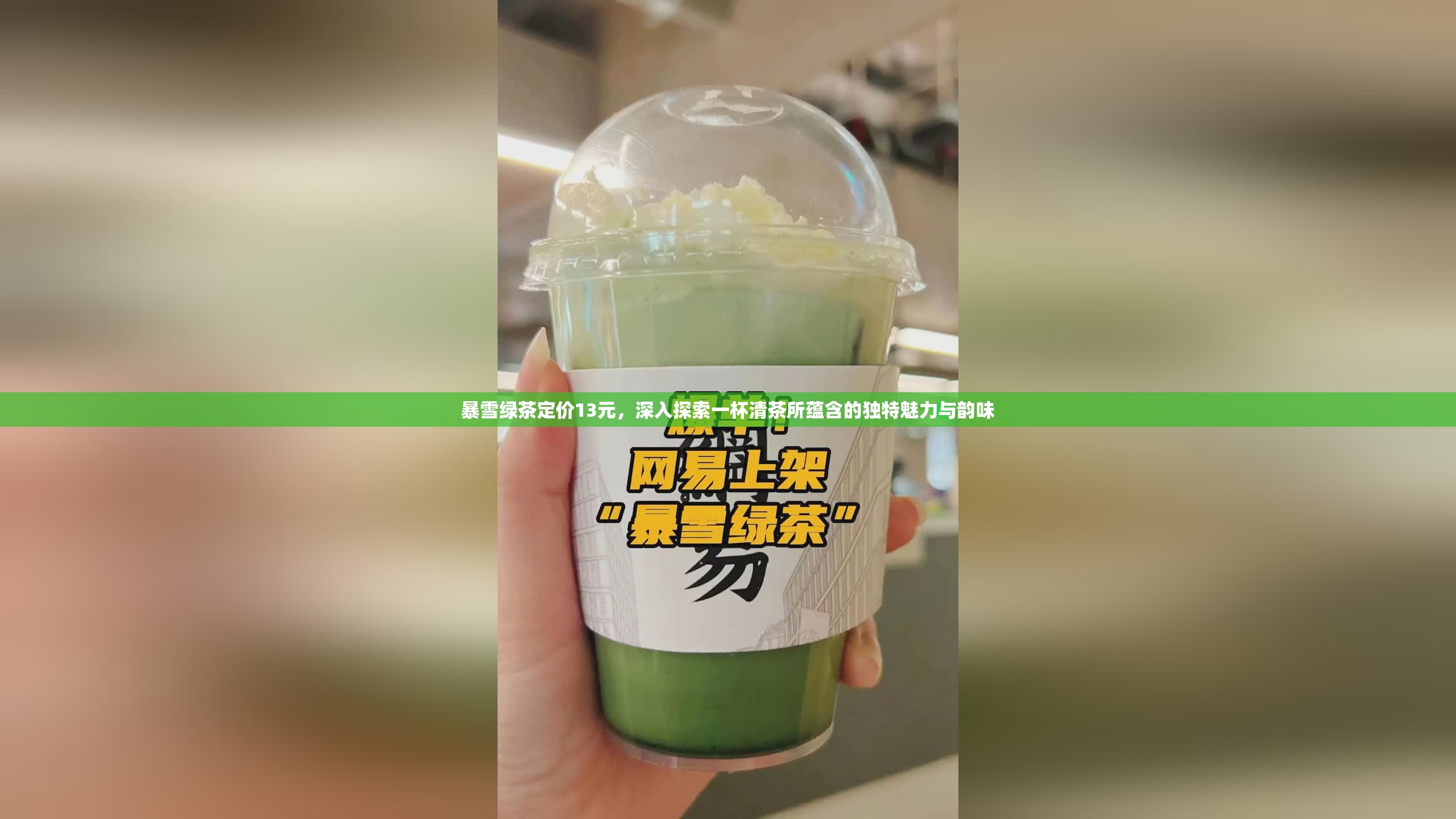 暴雪绿茶定价13元，深入探索一杯清茶所蕴含的独特魅力与韵味