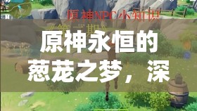 原神永恒的葱茏之梦，深入沙漠解锁奇幻之旅，探索未知世界的奥秘
