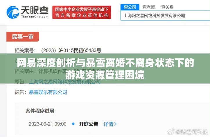 网易深度剖析与暴雪离婚不离身状态下的游戏资源管理困境