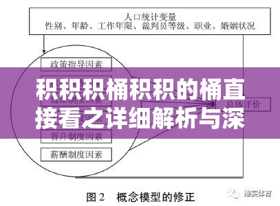 积积积桶积积的桶直接看之详细解析与深入探讨