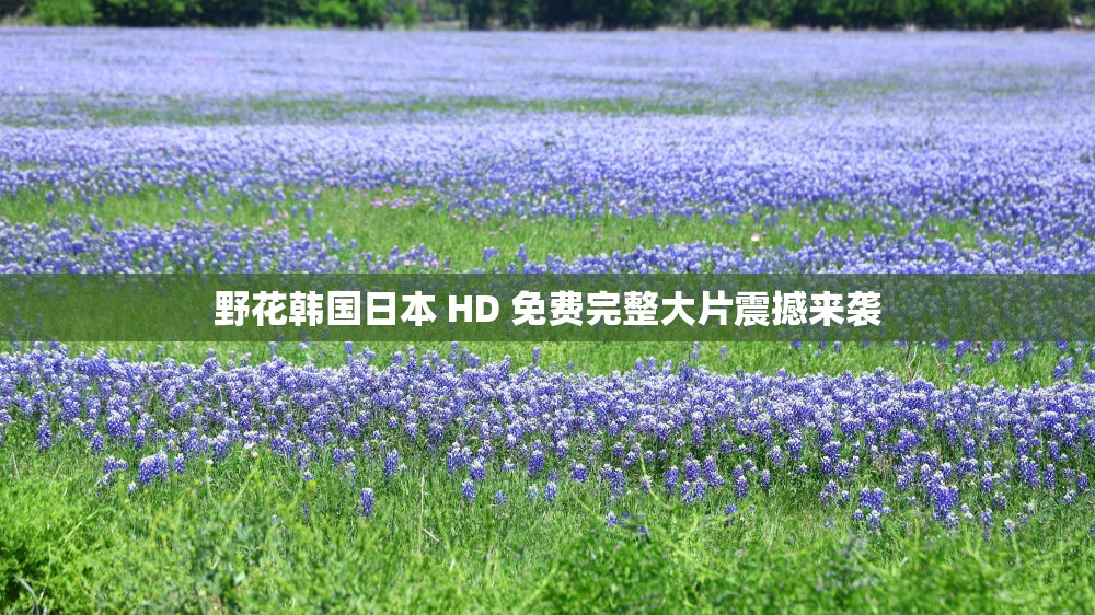 野花韩国日本 HD 免费完整大片震撼来袭