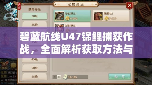 碧蓝航线U47锦鲤捕获作战，全面解析获取方法与高效资源管理策略