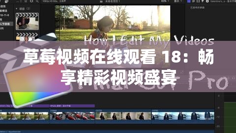 草莓视频在线观看 18：畅享精彩视频盛宴