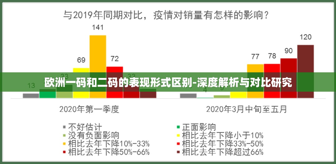 欧洲一码和二码的表现形式区别-深度解析与对比研究