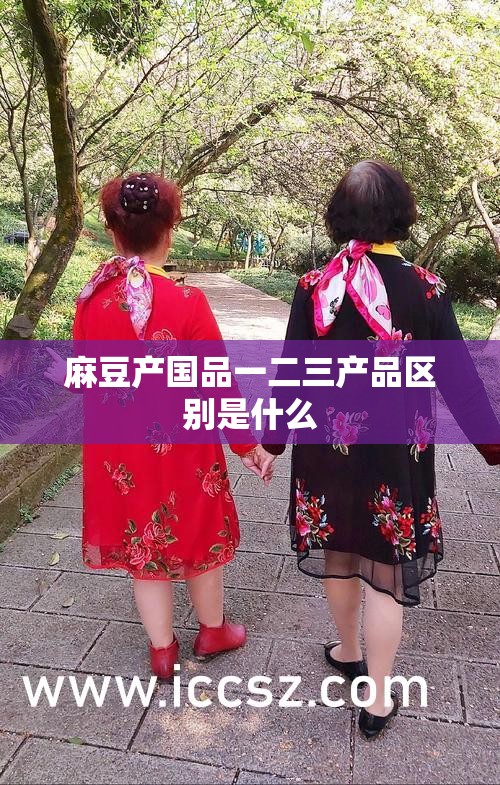 麻豆产国品一二三产品区别是什么