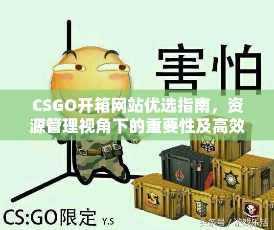 CSGO开箱网站优选指南，资源管理视角下的重要性及高效利用策略