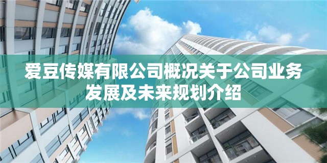 爱豆传媒有限公司概况关于公司业务发展及未来规划介绍