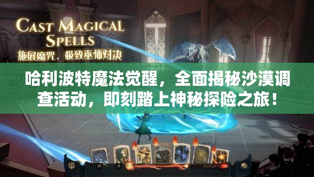 哈利波特魔法觉醒，全面揭秘沙漠调查活动，即刻踏上神秘探险之旅！
