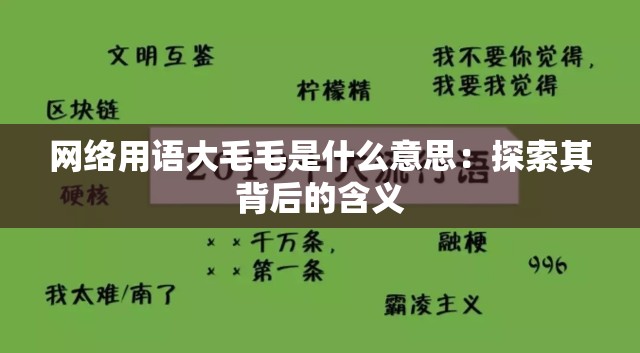 网络用语大毛毛是什么意思：探索其背后的含义