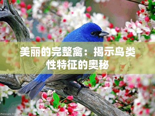 美丽的完整禽：揭示鸟类性特征的奥秘