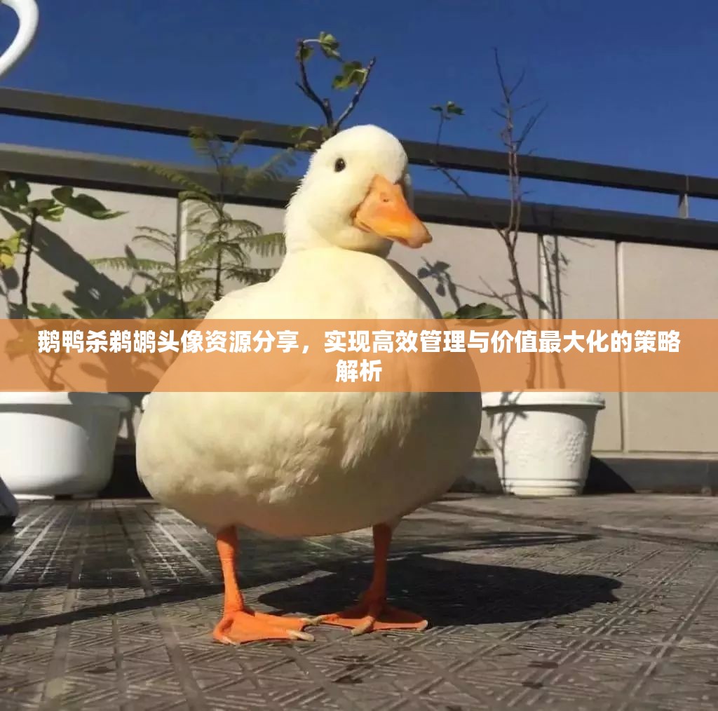 鹅鸭杀鹈鹕头像资源分享，实现高效管理与价值最大化的策略解析