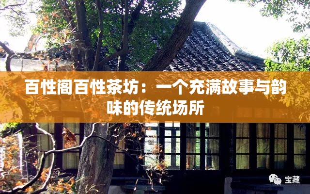 百性阁百性茶坊：一个充满故事与韵味的传统场所