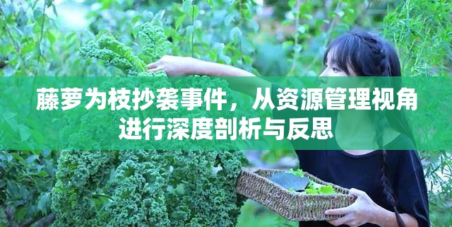 藤萝为枝抄袭事件，从资源管理视角进行深度剖析与反思