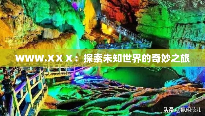 WWW.XⅩⅩ：探索未知世界的奇妙之旅