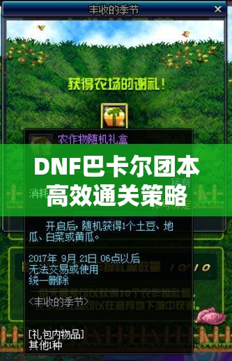 DNF巴卡尔团本高效通关策略，三头巨龙打法深度剖析与资源管理优化指南