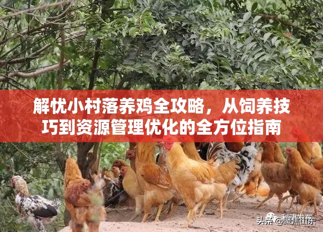 解忧小村落养鸡全攻略，从饲养技巧到资源管理优化的全方位指南