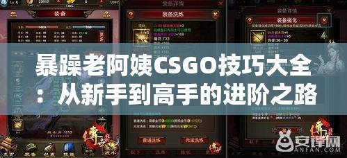 暴躁老阿姨CSGO技巧大全：从新手到高手的进阶之路