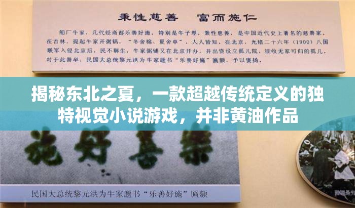揭秘东北之夏，一款超越传统定义的独特视觉小说游戏，并非黄油作品