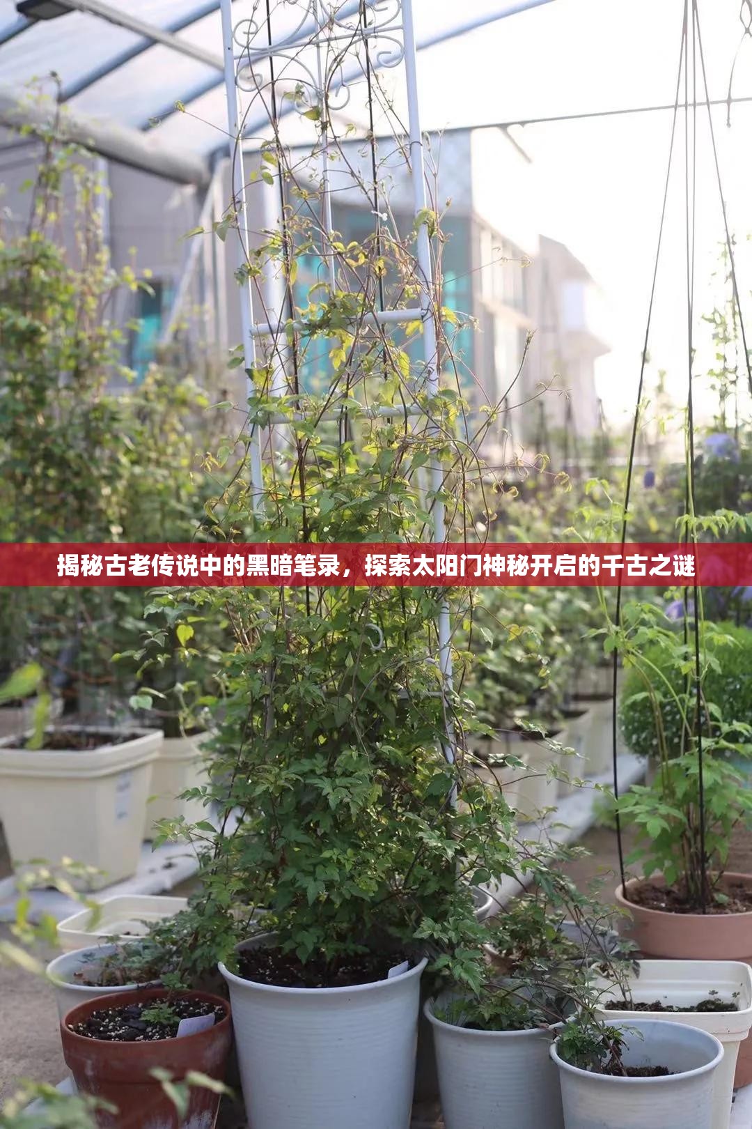 揭秘古老传说中的黑暗笔录，探索太阳门神秘开启的千古之谜