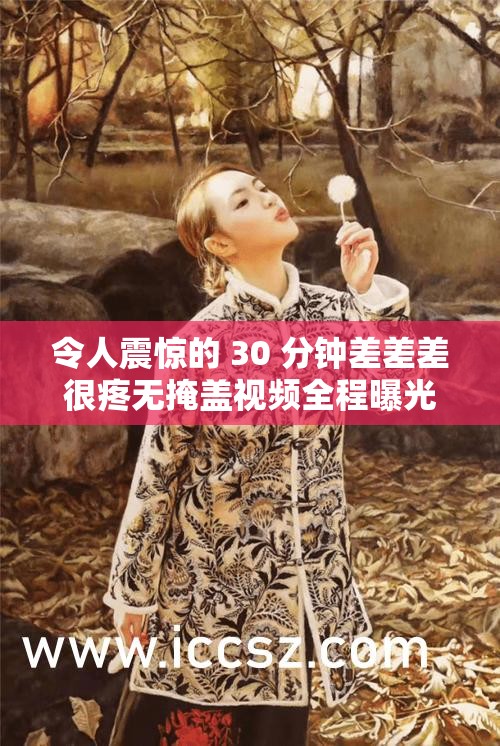 令人震惊的 30 分钟差差差很疼无掩盖视频全程曝光