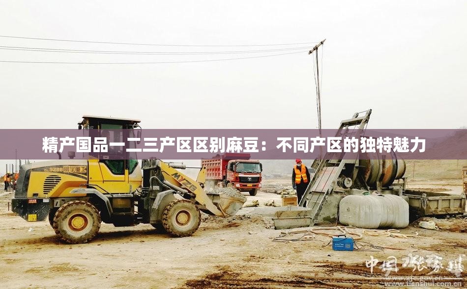 精产国品一二三产区区别麻豆：不同产区的独特魅力