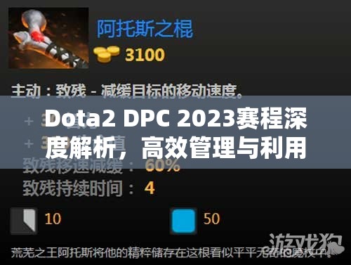 Dota2 DPC 2023赛程深度解析，高效管理与利用赛程安排的策略实施与价值探索