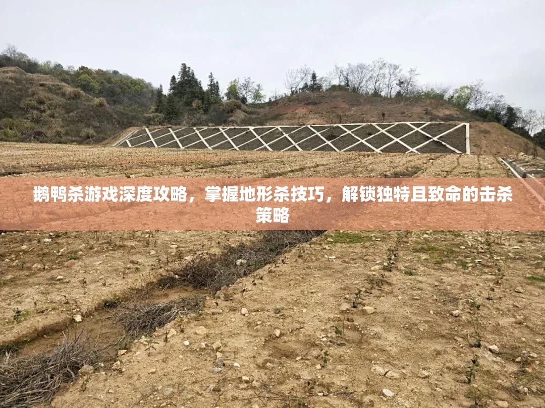 鹅鸭杀游戏深度攻略，掌握地形杀技巧，解锁独特且致命的击杀策略
