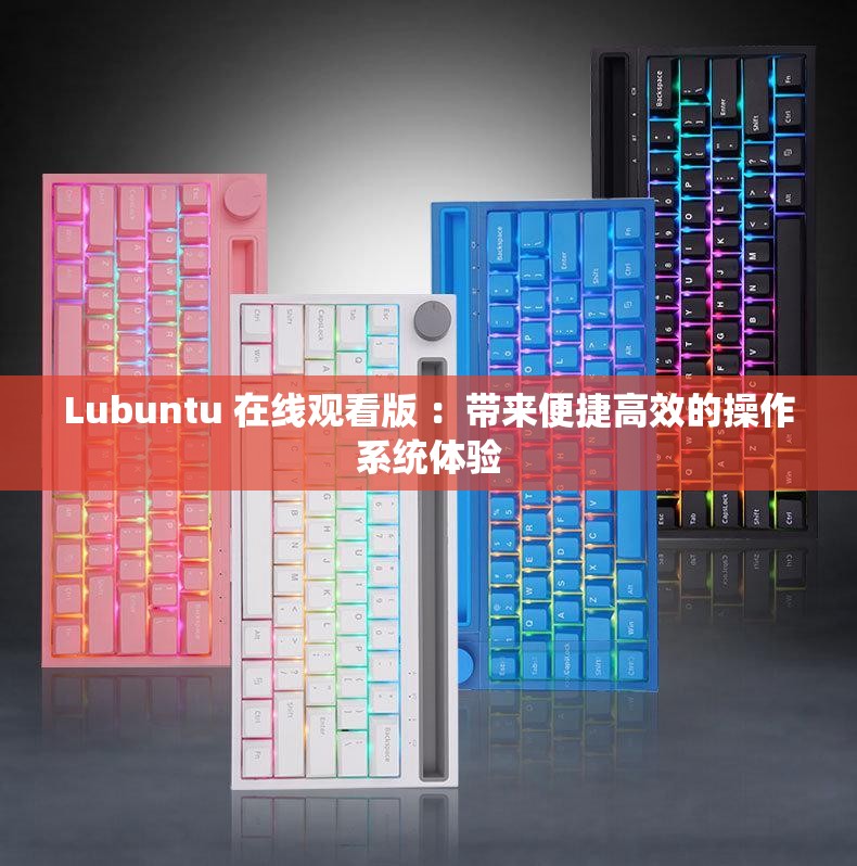 Lubuntu 在线观看版 ：带来便捷高效的操作系统体验