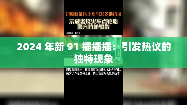 2024 年新 91 插插插：引发热议的独特现象