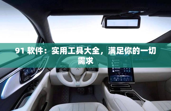 91 软件：实用工具大全，满足你的一切需求