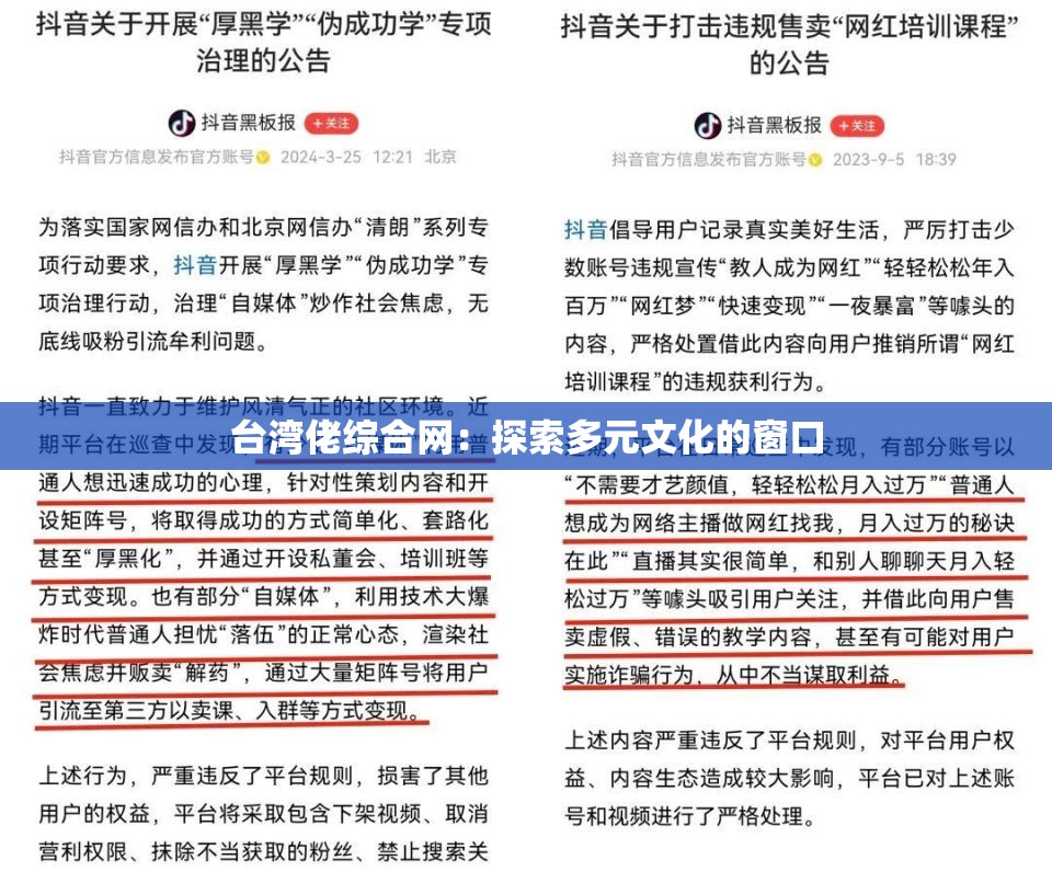 台湾佬综合网：探索多元文化的窗口