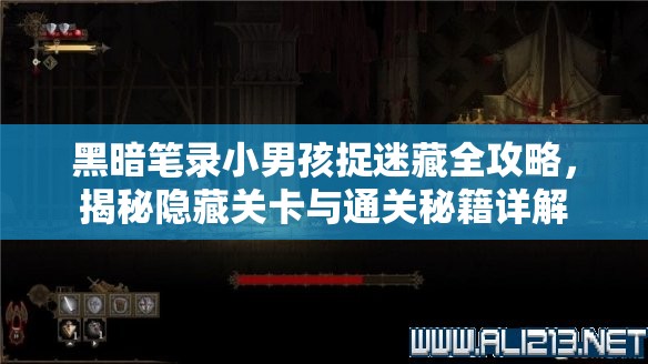 黑暗笔录小男孩捉迷藏全攻略，揭秘隐藏关卡与通关秘籍详解