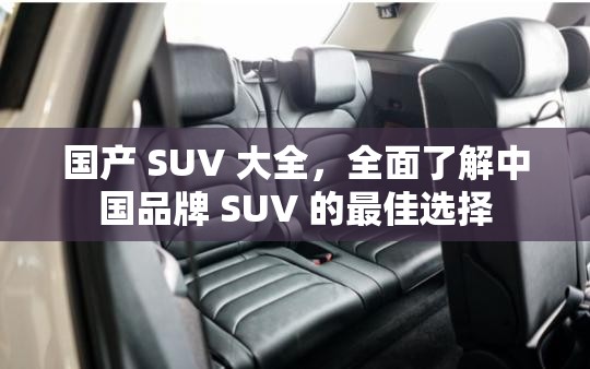 国产 SUV 大全，全面了解中国品牌 SUV 的最佳选择