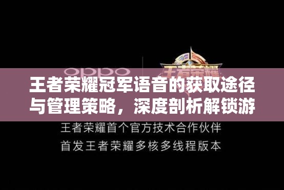 王者荣耀冠军语音的获取途径与管理策略，深度剖析解锁游戏全新体验