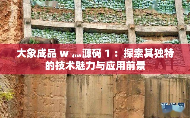 大象成品 w 灬源码 1 ：探索其独特的技术魅力与应用前景