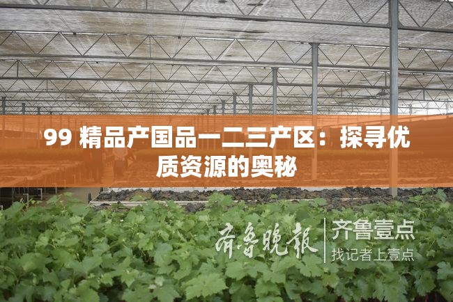 99 精品产国品一二三产区：探寻优质资源的奥秘