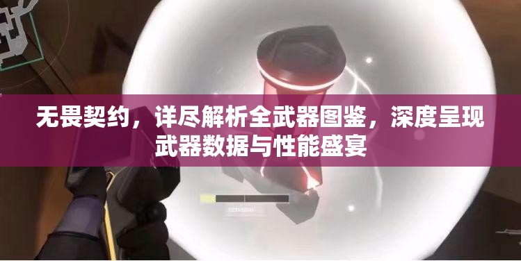 无畏契约，详尽解析全武器图鉴，深度呈现武器数据与性能盛宴