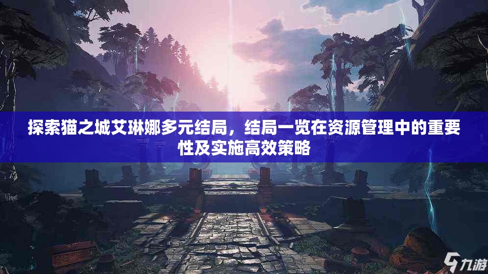探索猫之城艾琳娜多元结局，结局一览在资源管理中的重要性及实施高效策略