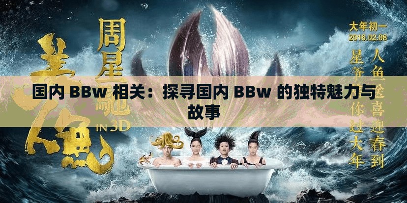 国内 BBw 相关：探寻国内 BBw 的独特魅力与故事