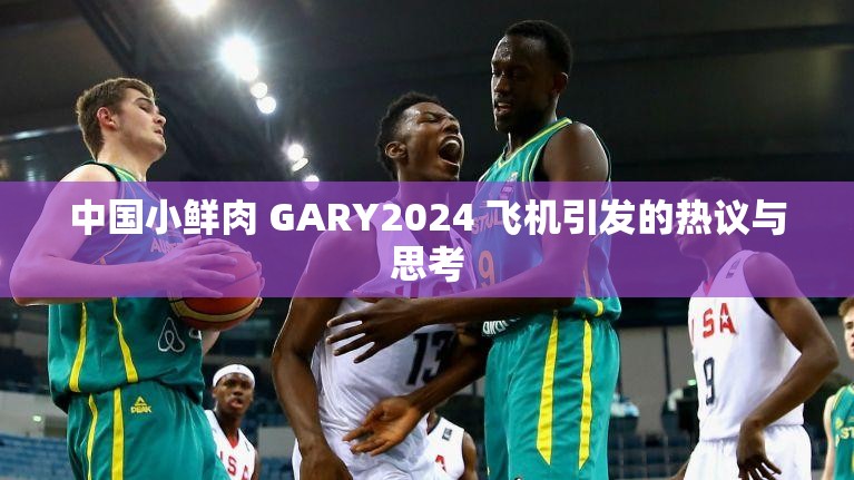 中国小鲜肉 GARY2024 飞机引发的热议与思考