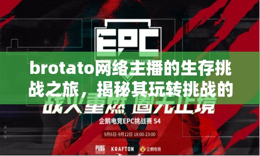 brotato网络主播的生存挑战之旅，揭秘其玩转挑战的策略与秘籍