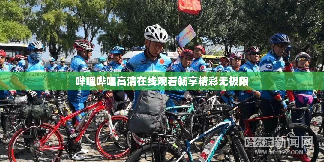 哔哩哔哩高清在线观看畅享精彩无极限