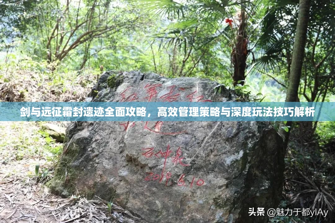 剑与远征霜封遗迹全面攻略，高效管理策略与深度玩法技巧解析