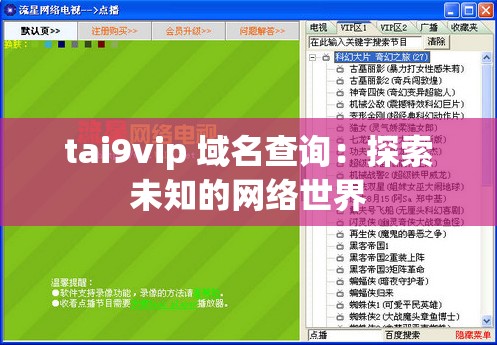 tai9vip 域名查询：探索未知的网络世界
