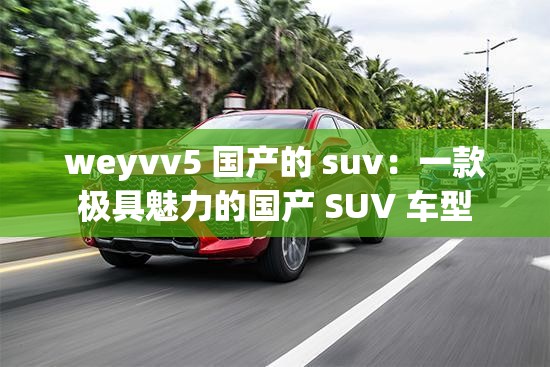weyvv5 国产的 suv：一款极具魅力的国产 SUV 车型