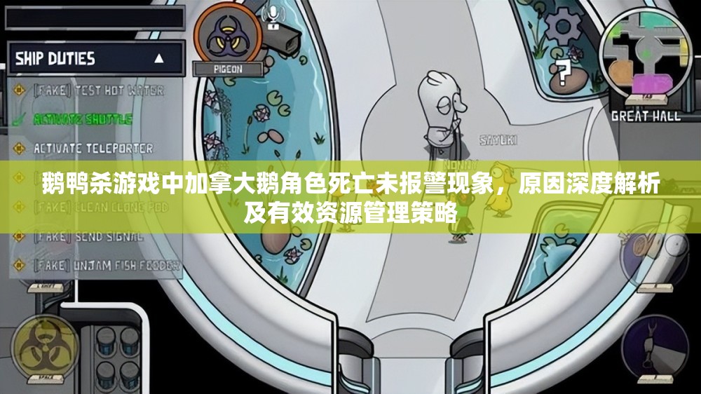 鹅鸭杀游戏中加拿大鹅角色死亡未报警现象，原因深度解析及有效资源管理策略