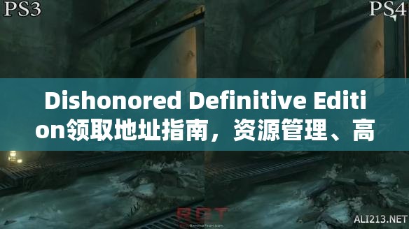 Dishonored Definitive Edition领取地址指南，资源管理、高效使用技巧及避免浪费策略