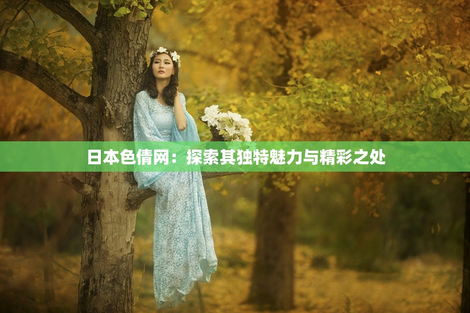 日本色倩网：探索其独特魅力与精彩之处
